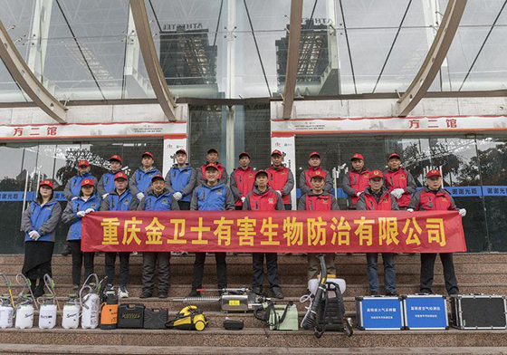 白蟻防治協會技術顧問用滅蟻粉劑治理散白蟻的具體操作方法