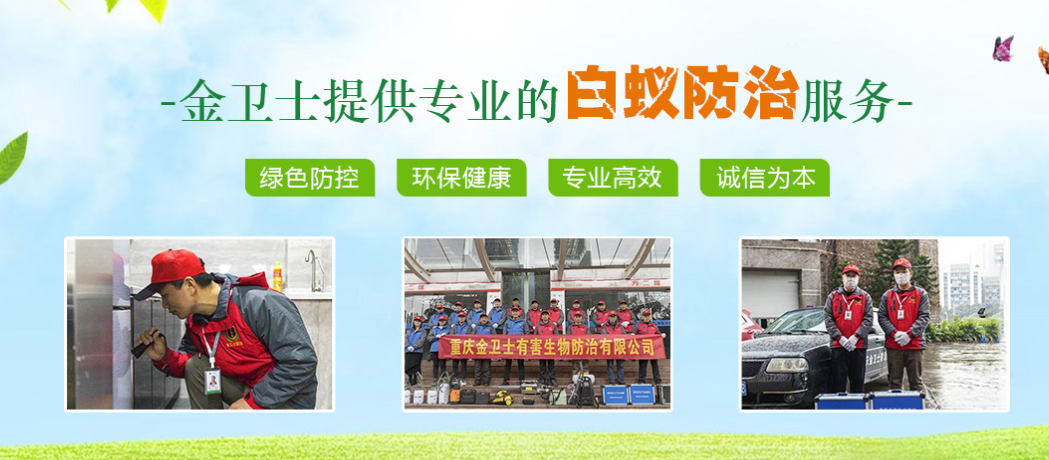 春季3月時(shí)期，白蟻消殺工作任重而道遠(yuǎn)  ?