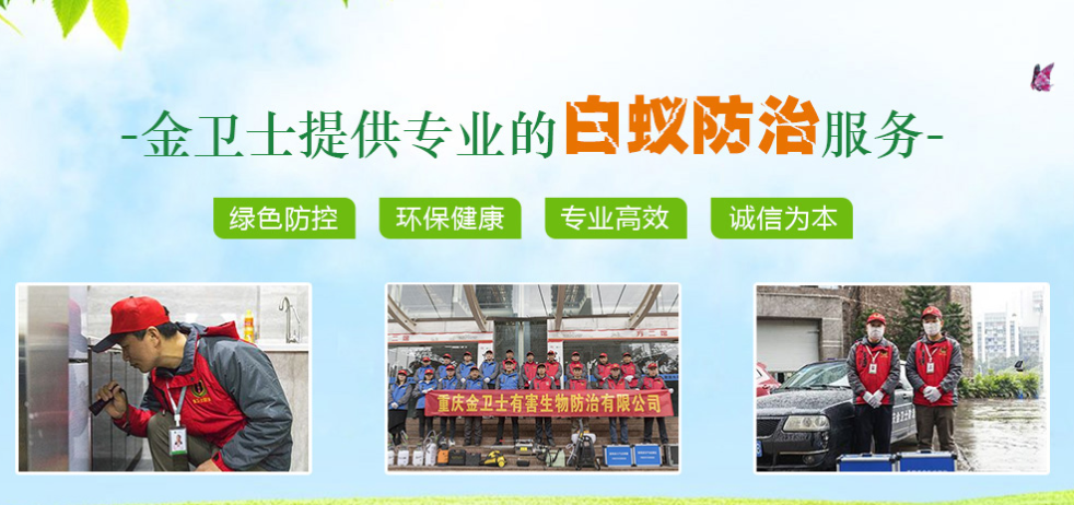 白蟻的生活環境和生長繁殖