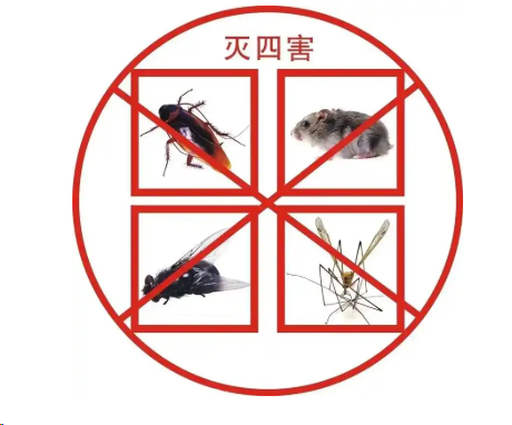 重慶專業白蟻防治中心